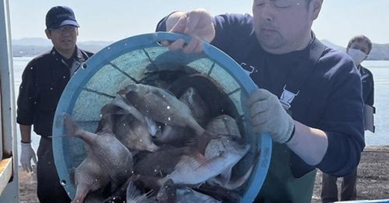 漁業の現状