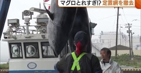 TAC（漁獲可能量）は有効だった